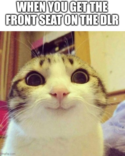 The dlr is the automated railway in london. When you sit at the front you can see right infront of the train because there is no | WHEN YOU GET THE FRONT SEAT ON THE DLR | image tagged in memes,smiling cat | made w/ Imgflip meme maker