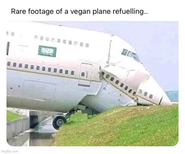 this plane runs on green energy | image tagged in airplane | made w/ Imgflip meme maker