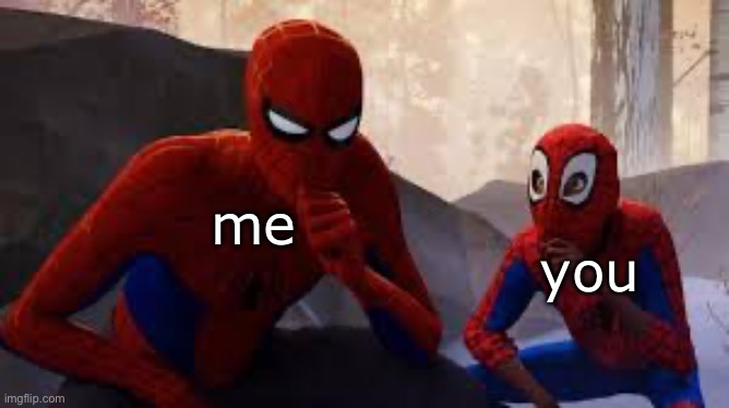 Spider Verse Mimic | me you | image tagged in spider verse mimic | made w/ Imgflip meme maker