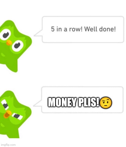 Duolingo 5 in a row | MONEY PLIS!🤨 | image tagged in duolingo 5 in a row | made w/ Imgflip meme maker