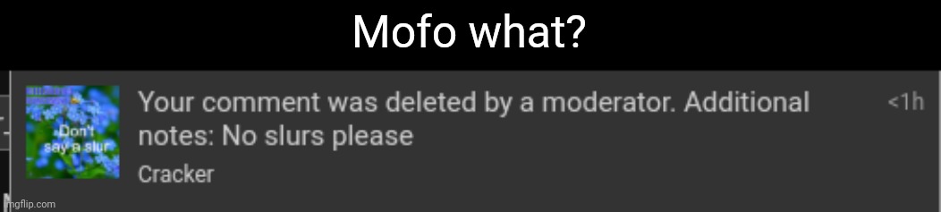 It's not even a legit slur | Mofo what? | made w/ Imgflip meme maker
