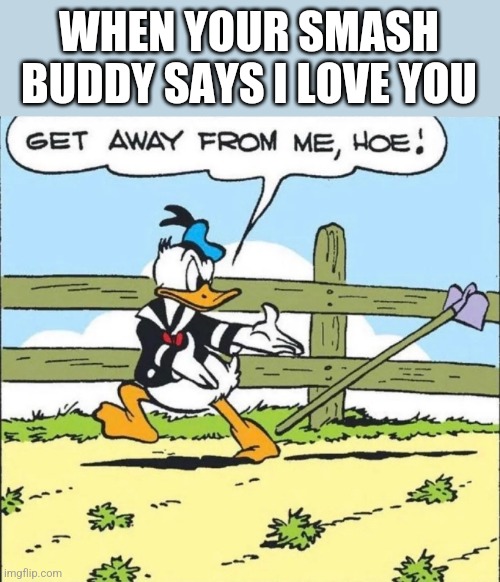 Donald duck hoe | WHEN YOUR SMASH BUDDY SAYS I LOVE YOU | image tagged in donald duck hoe | made w/ Imgflip meme maker