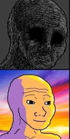 Depressed vs Happy Wojak Blank Meme Template