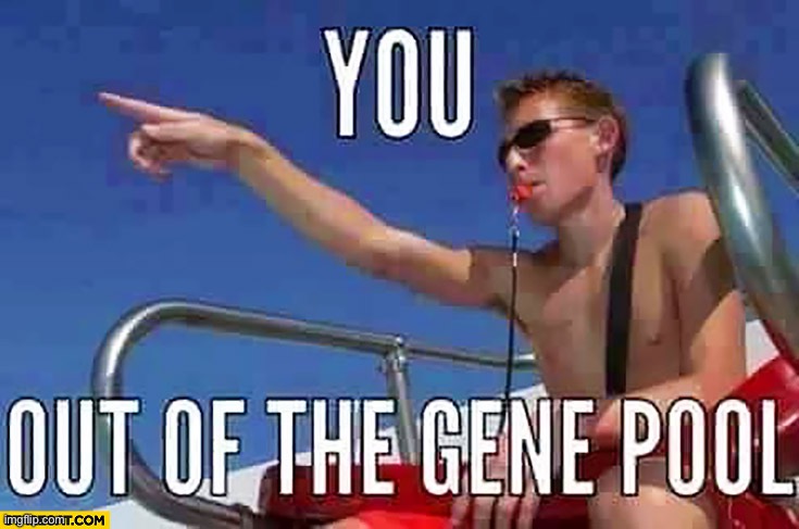 You, out of the gene pool | image tagged in you out of the gene pool | made w/ Imgflip meme maker
