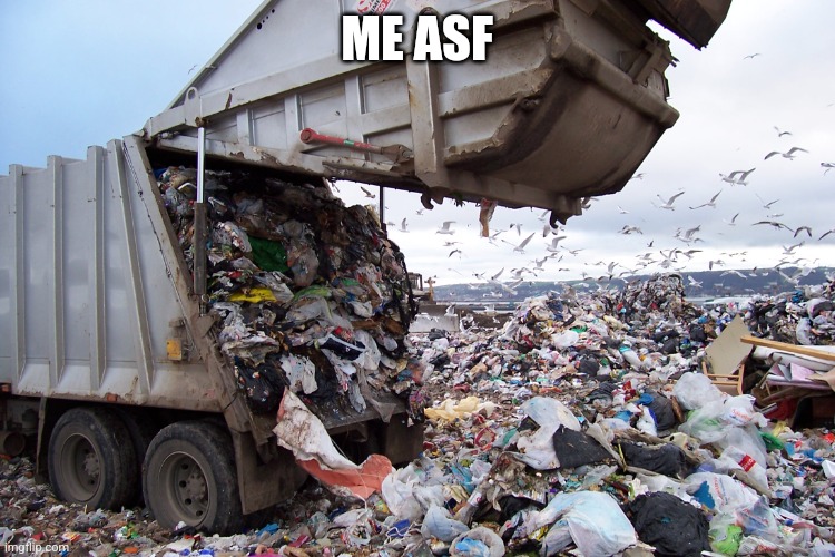 garbage dump | ME ASF | image tagged in garbage dump | made w/ Imgflip meme maker