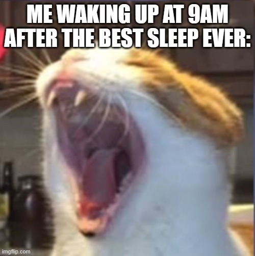 Good sleep :] | ME WAKING UP AT 9AM AFTER THE BEST SLEEP EVER: | image tagged in yawning cat | made w/ Imgflip meme maker