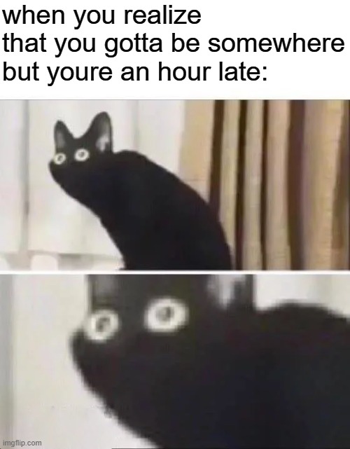 no... NO... | when you realize that you gotta be somewhere but youre an hour late: | image tagged in oh no black cat | made w/ Imgflip meme maker