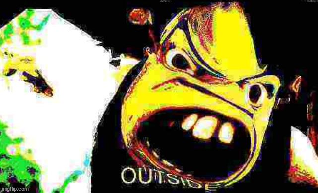 OUTSIDE | image tagged in outside | made w/ Imgflip meme maker