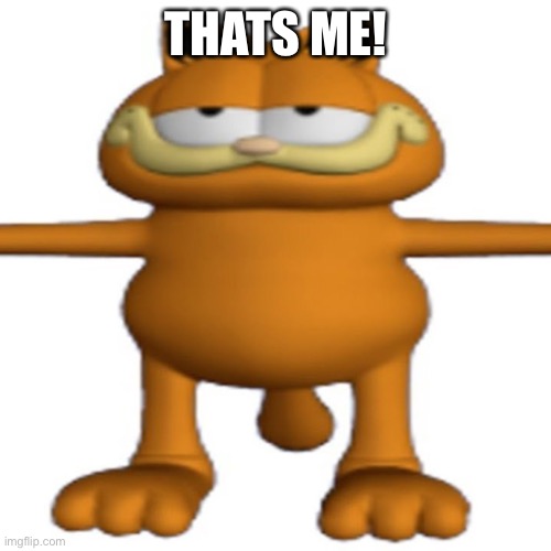 t posing garfeild | THATS ME! | image tagged in t posing garfeild | made w/ Imgflip meme maker