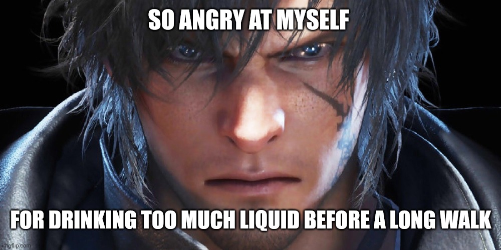 Typical Situations | SO ANGRY AT MYSELF; FOR DRINKING TOO MUCH LIQUID BEFORE A LONG WALK | image tagged in bathroom,water,liquid,accident,embarrassing | made w/ Imgflip meme maker