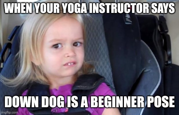 When your yoga instructor says ... | WHEN YOUR YOGA INSTRUCTOR SAYS; DOWN DOG IS A BEGINNER POSE | image tagged in side eyeing chloe | made w/ Imgflip meme maker