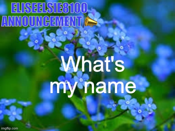 Eliseelsie8100 Announcement Imgflip Eliseelsie8100 Announcement Imgflip