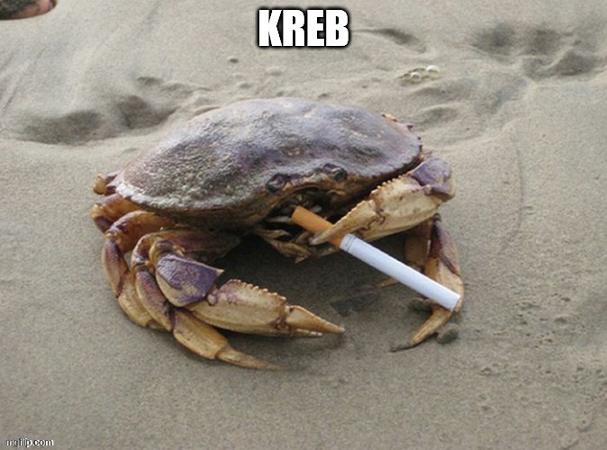 Kreb | image tagged in kreb | made w/ Imgflip meme maker