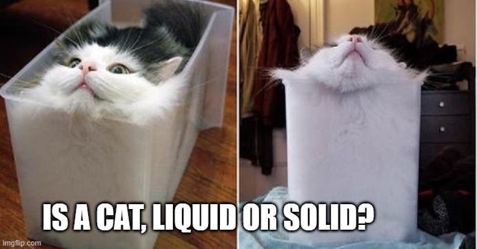 Is a cat liquid or solid? | IS A CAT, LIQUID OR SOLID? | image tagged in cats | made w/ Imgflip meme maker