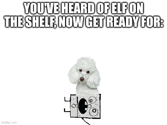 poodle on the doodle | YOU'VE HEARD OF ELF ON THE SHELF, NOW GET READY FOR: | image tagged in blank white template | made w/ Imgflip meme maker