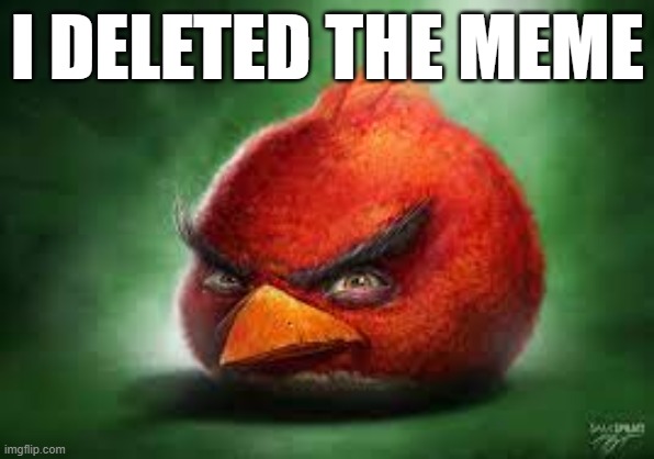@iceu | I DELETED THE MEME | image tagged in realistic red angry birds | made w/ Imgflip meme maker