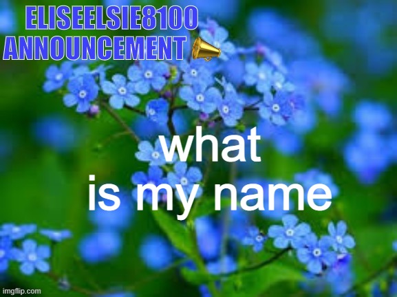 EliseElsie8100 Announcement | what is my name | image tagged in eliseelsie8100 announcement | made w/ Imgflip meme maker