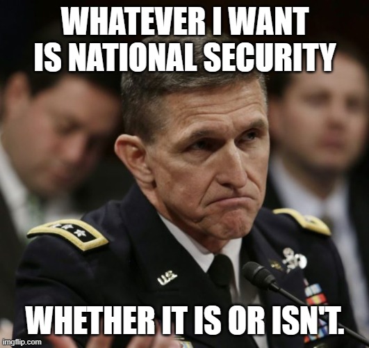 WHATEVER I WANT IS NATIONAL SECURITY WHETHER IT IS OR ISN'T. | image tagged in michael flynn | made w/ Imgflip meme maker