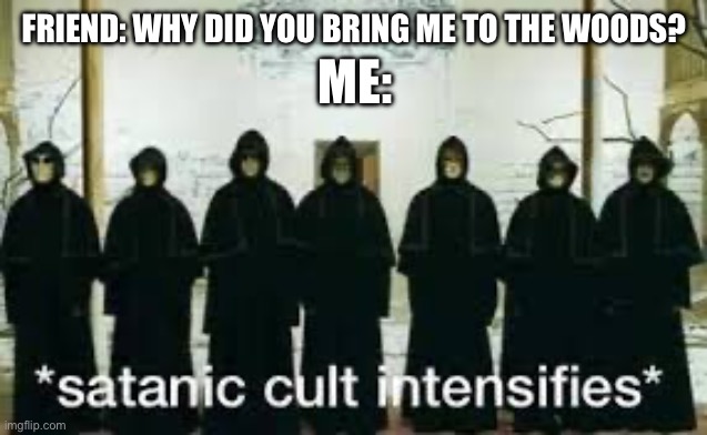 *satanic cult intensifies* | ME:; FRIEND: WHY DID YOU BRING ME TO THE WOODS? | image tagged in satanic cult intensifies | made w/ Imgflip meme maker