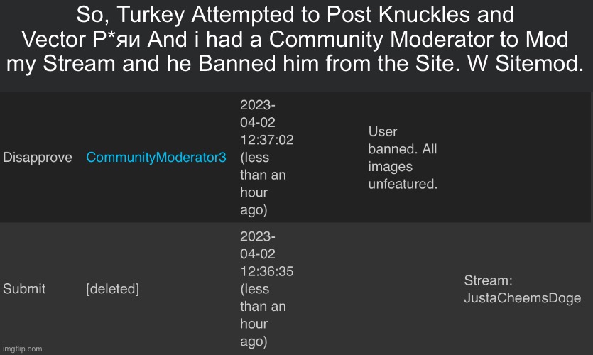 Yes, I have a Community Moderator to Mod my stream and he Banned a Turkey Alt. | So, Turkey Attempted to Post Knuckles and Vector Р*яи And i had a Community Moderator to Mod my Stream and he Banned him from the Site. W Sitemod. | image tagged in imgflip,w,mod,memes | made w/ Imgflip meme maker