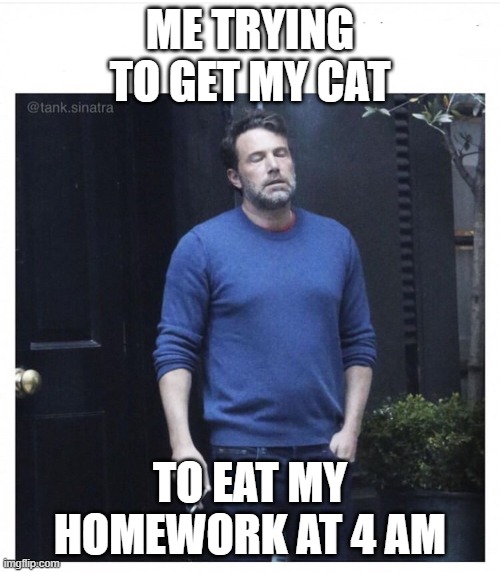 Ben affleck smoking | ME TRYING TO GET MY CAT; TO EAT MY HOMEWORK AT 4 AM | image tagged in ben affleck smoking | made w/ Imgflip meme maker