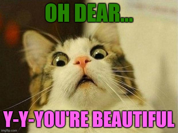 Scared Cat | OH DEAR... Y-Y-YOU'RE BEAUTIFUL | image tagged in memes,scared cat | made w/ Imgflip meme maker