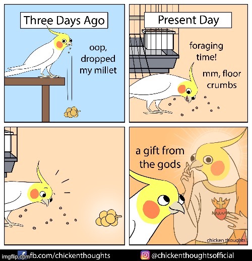 A gift from the gods | image tagged in repost | made w/ Imgflip meme maker