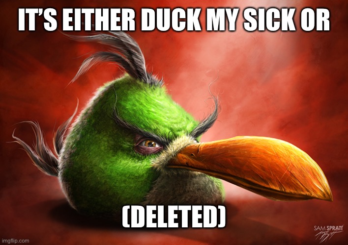 Angry Bird 4 | IT’S EITHER DUCK MY SICK OR; (DELETED) | image tagged in angry bird 4 | made w/ Imgflip meme maker