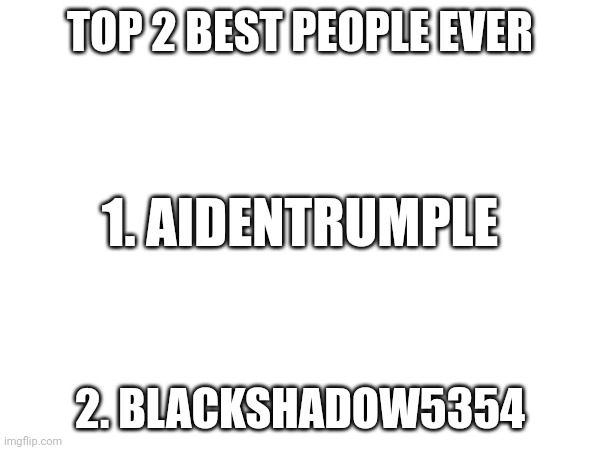 TOP 2 BEST PEOPLE EVER; 1. AIDENTRUMPLE; 2. BLACKSHADOW5354 | image tagged in oh wow are you actually reading these tags | made w/ Imgflip meme maker