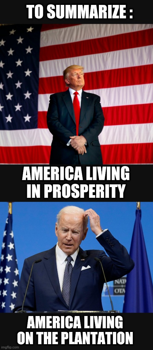 Regret Your Vote ? | TO SUMMARIZE :; AMERICA LIVING IN PROSPERITY; AMERICA LIVING ON THE PLANTATION | image tagged in leftists,liberals,democrats,biden | made w/ Imgflip meme maker