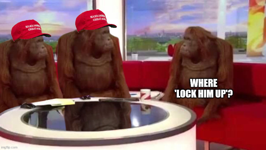 where monkey | WHERE 'LOCK HIM UP'? | image tagged in where monkey | made w/ Imgflip meme maker