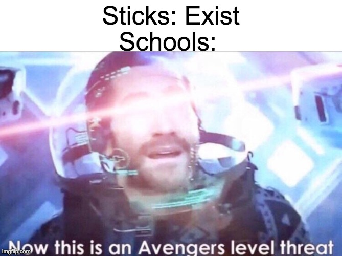 They treat sticks like a weapon | Sticks: Exist; Schools: | image tagged in now this is an avengers level threat,stick,school,schools,high school,why are you reading this | made w/ Imgflip meme maker