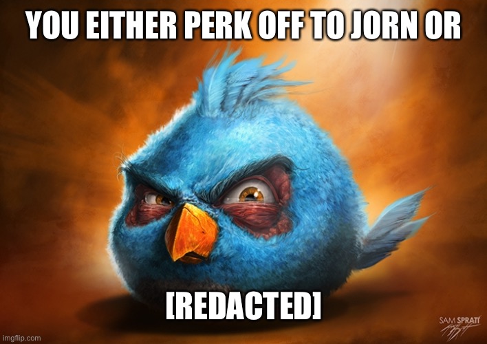 angry birds blue | YOU EITHER PERK OFF TO JORN OR; [REDACTED] | image tagged in angry birds blue | made w/ Imgflip meme maker