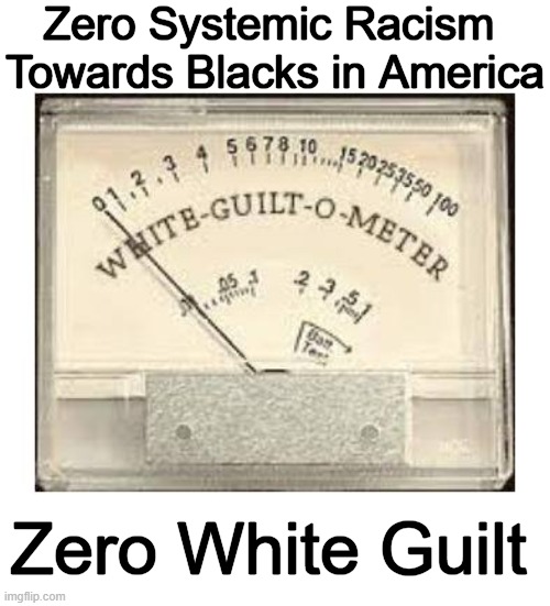 We Have Equal Rights For All Americans in America | Zero Systemic Racism 
Towards Blacks in America; Zero White Guilt | image tagged in politics,zero,systemic racism,america,equal rights,so true | made w/ Imgflip meme maker