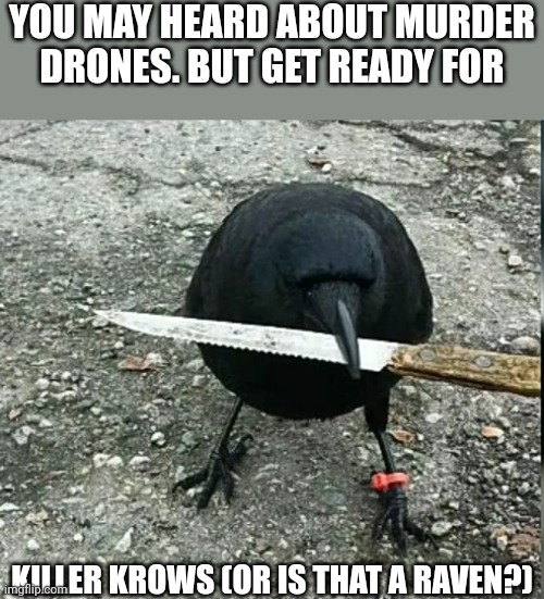 YOU MAY HEARD ABOUT MURDER DRONES. BUT GET READY FOR; KILLER KROWS (OR IS THAT A RAVEN?) | made w/ Imgflip meme maker