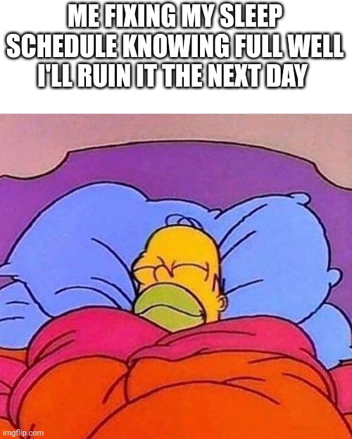Homer Simpson sleeping peacefully | ME FIXING MY SLEEP SCHEDULE KNOWING FULL WELL I'LL RUIN IT THE NEXT DAY | image tagged in homer simpson sleeping peacefully,relatable | made w/ Imgflip meme maker