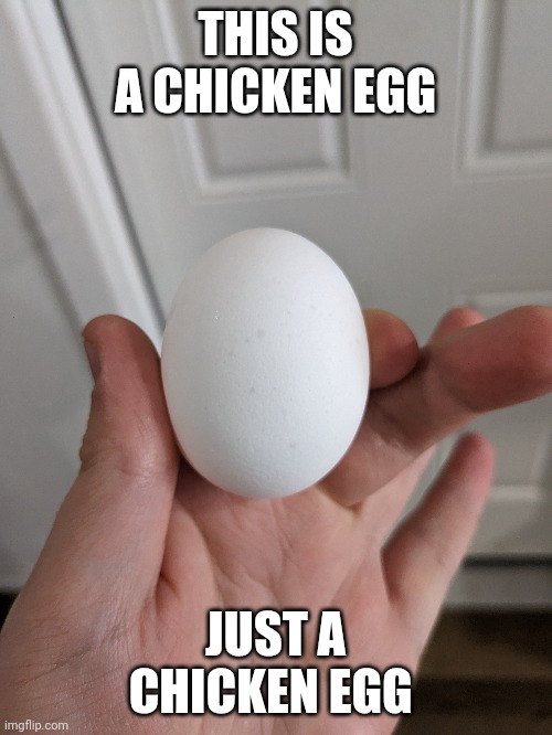 Just a chicken egg | THIS IS A CHICKEN EGG; JUST A CHICKEN EGG | image tagged in chicken egg,jpfan102504 | made w/ Imgflip meme maker