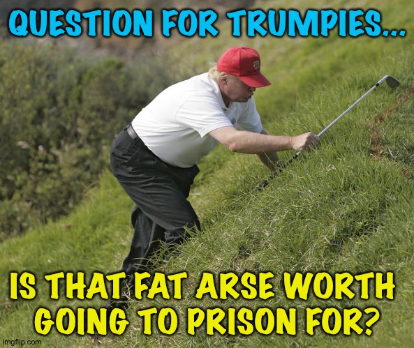 trump golfing | QUESTION FOR TRUMPIES... IS THAT FAT ARSE WORTH 
GOING TO PRISON FOR? | image tagged in trump golfing | made w/ Imgflip meme maker