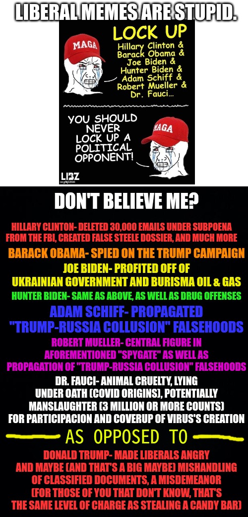 Plenty more, but these are the ones I deemed most important. The left can't meme. | LIBERAL MEMES ARE STUPID. DON'T BELIEVE ME? HILLARY CLINTON- DELETED 30,000 EMAILS UNDER SUBPOENA FROM THE FBI, CREATED FALSE STEELE DOSSIER, AND MUCH MORE; BARACK OBAMA- SPIED ON THE TRUMP CAMPAIGN; JOE BIDEN- PROFITED OFF OF UKRAINIAN GOVERNMENT AND BURISMA OIL & GAS; HUNTER BIDEN- SAME AS ABOVE, AS WELL AS DRUG OFFENSES; ADAM SCHIFF- PROPAGATED "TRUMP-RUSSIA COLLUSION" FALSEHOODS; ROBERT MUELLER- CENTRAL FIGURE IN AFOREMENTIONED "SPYGATE" AS WELL AS PROPAGATION OF "TRUMP-RUSSIA COLLUSION" FALSEHOODS; DR. FAUCI- ANIMAL CRUELTY, LYING UNDER OATH (COVID ORIGINS), POTENTIALLY MANSLAUGHTER (3 MILLION OR MORE COUNTS) FOR PARTICIPACION AND COVERUP OF VIRUS'S CREATION; AS OPPOSED TO; DONALD TRUMP- MADE LIBERALS ANGRY AND MAYBE (AND THAT'S A BIG MAYBE) MISHANDLING OF CLASSIFIED DOCUMENTS, A MISDEMEANOR (FOR THOSE OF YOU THAT DON'T KNOW, THAT'S THE SAME LEVEL OF CHARGE AS STEALING A CANDY BAR) | image tagged in the left cant meme,liberal logic,lets go brandon,witch hunt number 5 or 6 i dont know at this point,trump,democrats | made w/ Imgflip meme maker