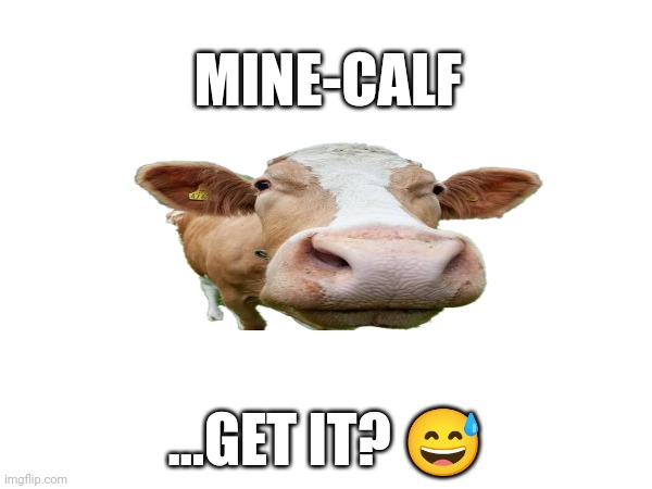 A calf is a baby cow if you don't know | MINE-CALF; ...GET IT? 😅 | made w/ Imgflip meme maker