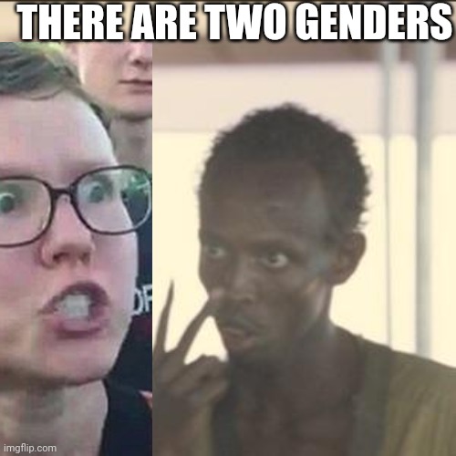 THERE ARE TWO GENDERS | made w/ Imgflip meme maker