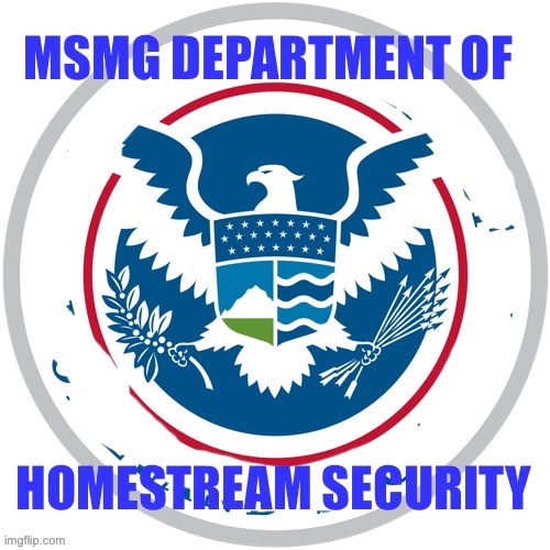 MSMG Department of Homestream Security | image tagged in msmg department of homestream security | made w/ Imgflip meme maker