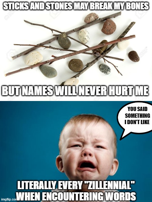 The children are the future | STICKS AND STONES MAY BREAK MY BONES; BUT NAMES WILL NEVER HURT ME; YOU SAID SOMETHING I DON'T LIKE; LITERALLY EVERY "ZILLENNIAL" WHEN ENCOUNTERING WORDS | image tagged in sticks and stones,baby crying,pronouns,political correctness,words,names | made w/ Imgflip meme maker