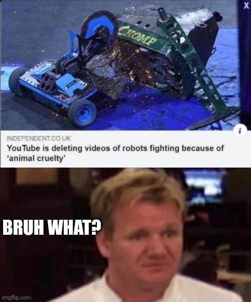 youtube must not know what robots are | BRUH WHAT? | image tagged in disgusted gordon ramsay | made w/ Imgflip meme maker
