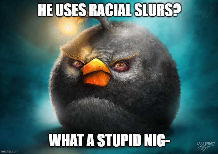 Realistic Bomb Angry Bird | HE USES RACIAL SLURS? WHAT A STUPID NIG- | image tagged in realistic bomb angry bird | made w/ Imgflip meme maker