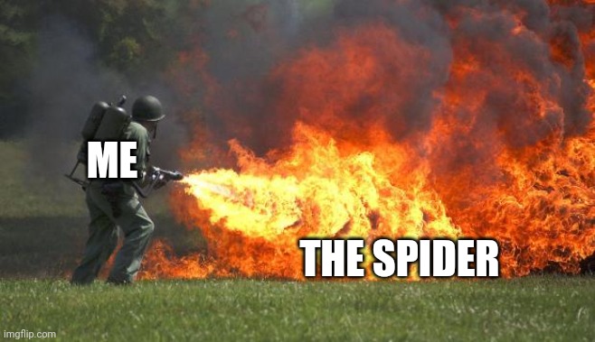 flamethrower | ME THE SPIDER | image tagged in flamethrower | made w/ Imgflip meme maker