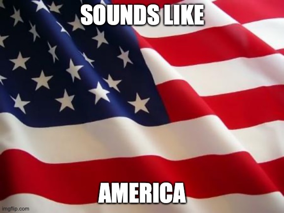 American flag | SOUNDS LIKE AMERICA | image tagged in american flag | made w/ Imgflip meme maker