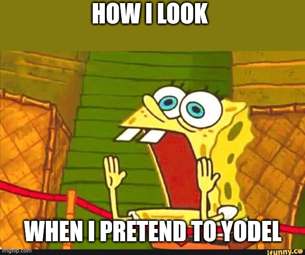 I pretend to yodel for a moment | HOW I LOOK; WHEN I PRETEND TO YODEL | image tagged in memes | made w/ Imgflip meme maker