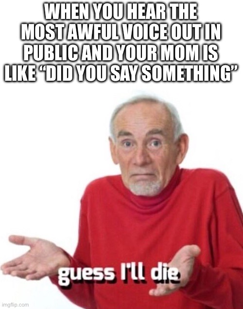 Please tell me that’s not actually how I sound | WHEN YOU HEAR THE MOST AWFUL VOICE OUT IN PUBLIC AND YOUR MOM IS LIKE “DID YOU SAY SOMETHING” | image tagged in guess ill die | made w/ Imgflip meme maker