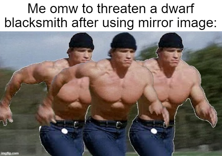 Third one was eaten by a cannibal rabbit | Me omw to threaten a dwarf blacksmith after using mirror image: | image tagged in dnd | made w/ Imgflip meme maker